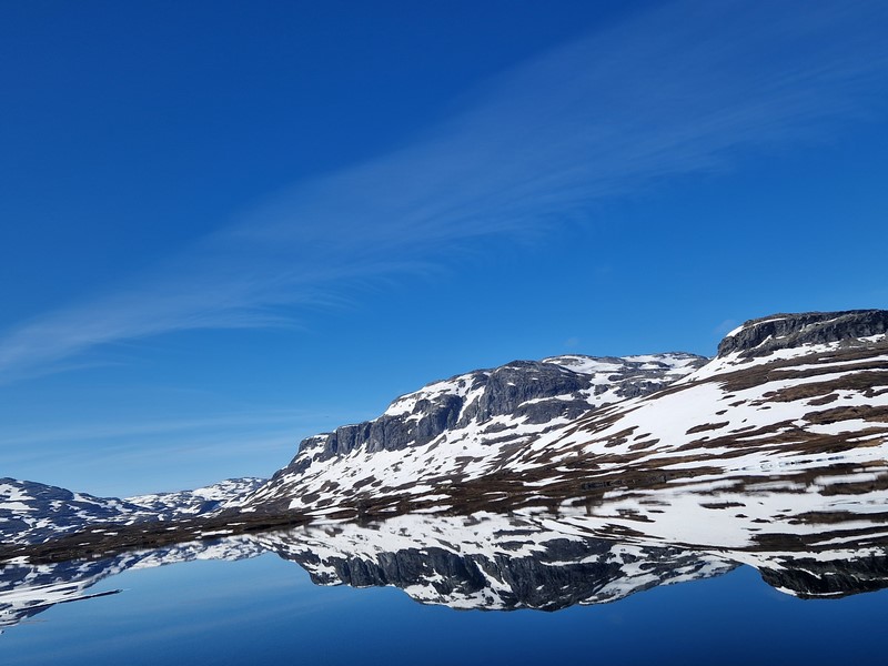 20240621_091017 (Kopiowanie).jpg