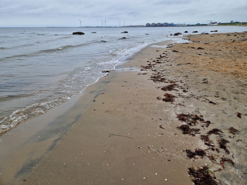 20240622_130340 (Kopiowanie).jpg