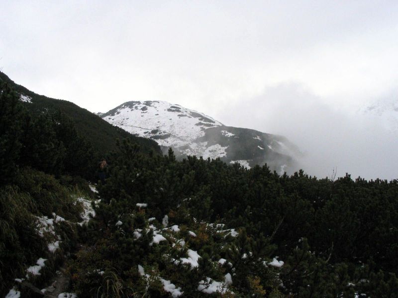 widok na świstówkę.jpg