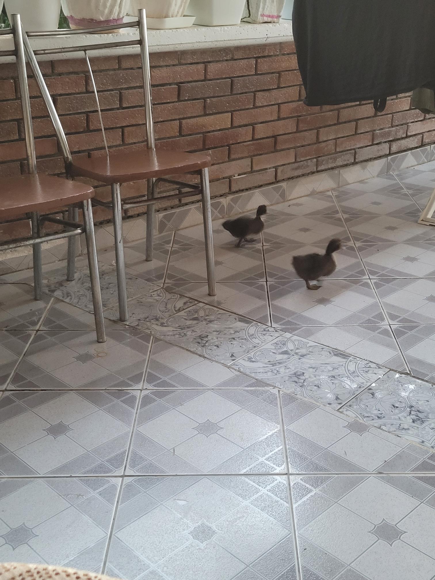 20230716_200832 (Copy) (2).jpg