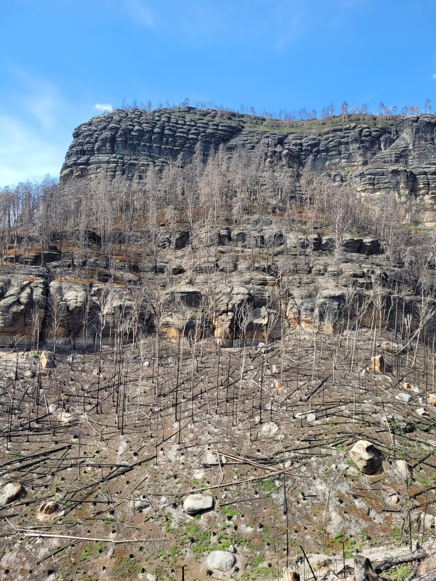 20240501_153319 (Copy).jpg