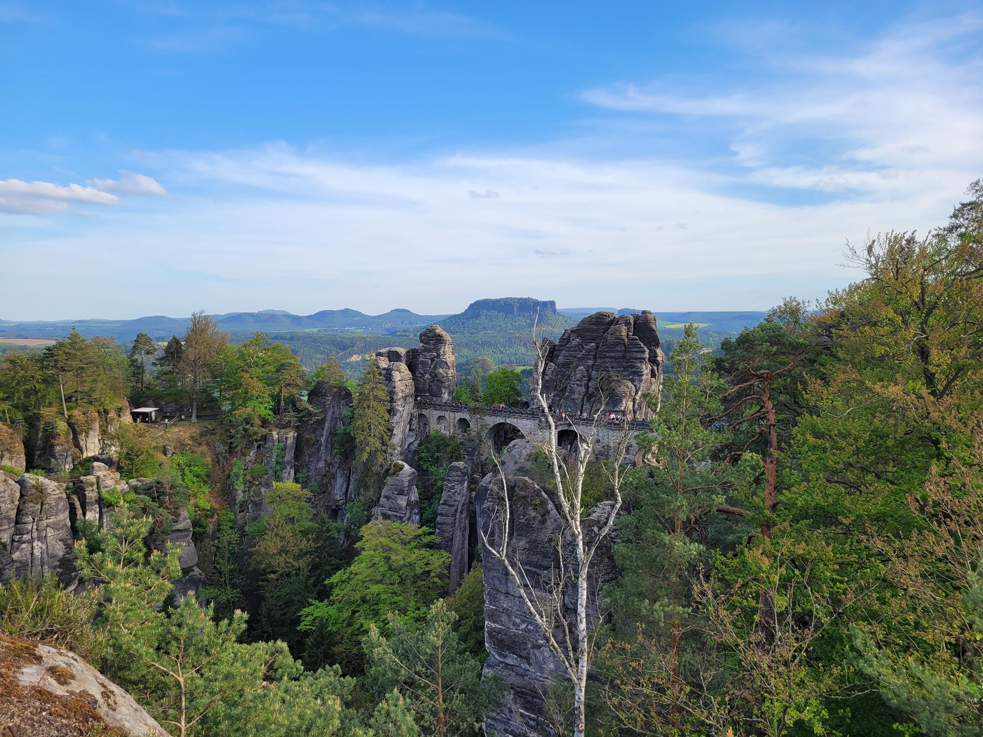 20240501_180941 (Copy).jpg