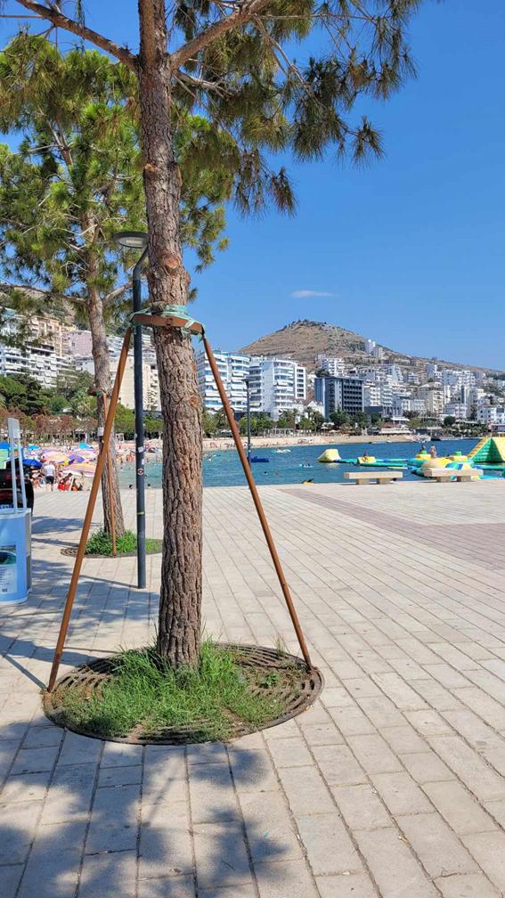 Messenger_creation_223db486-d30a-4023-ba62-0555c46f7278 (Copy).jpeg