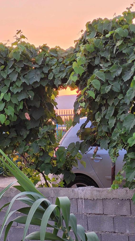 Messenger_creation_9a3f9a55-df9e-4a72-93bf-a47ba7b80bde (Copy).jpeg