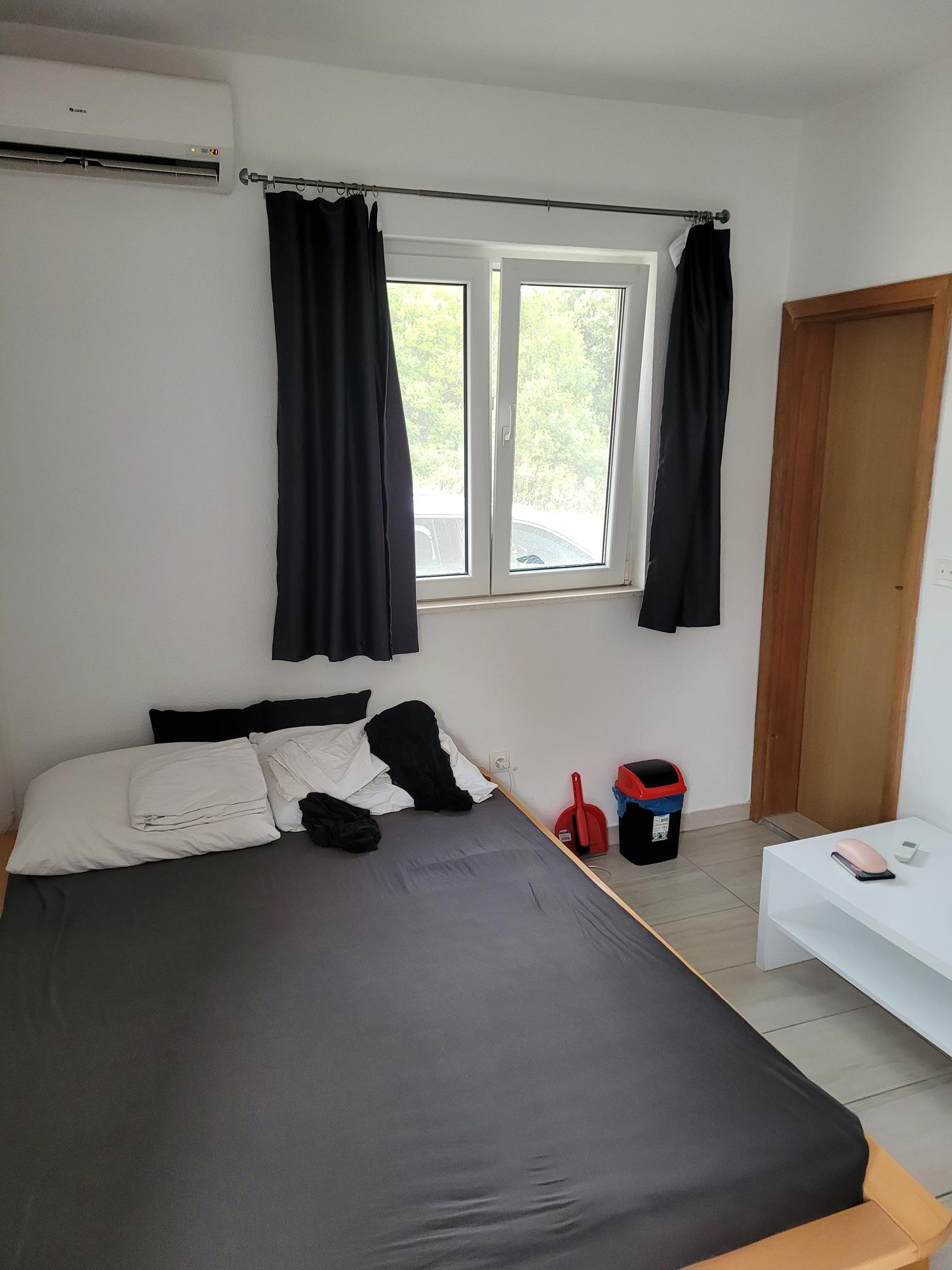 20240906_175321 (Copy).jpg