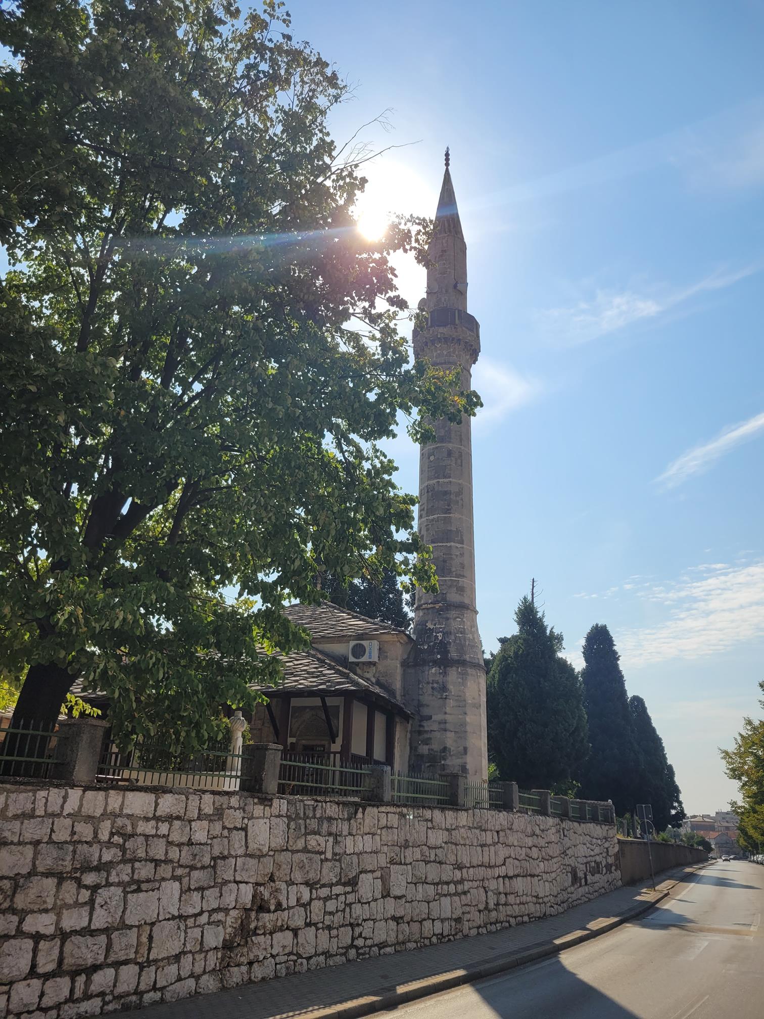 20240903_103152 (Copy).jpg