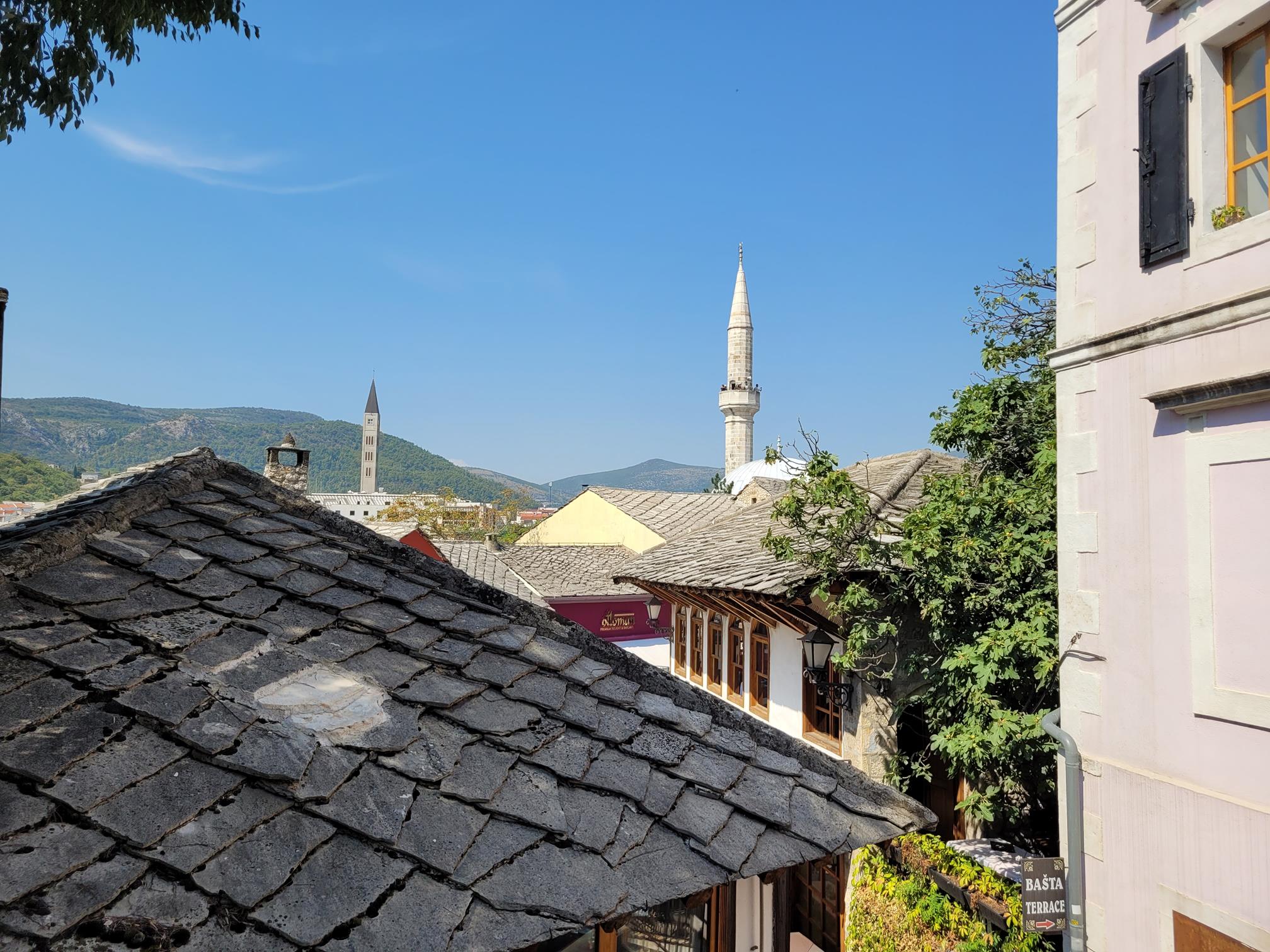 20240903_113050 (Copy).jpg