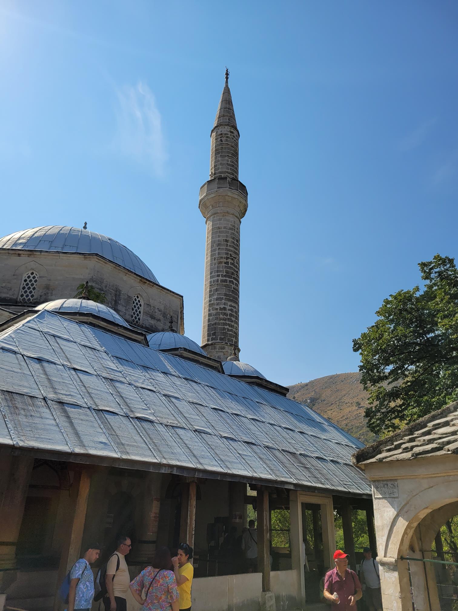 20240903_111546 (Copy).jpg