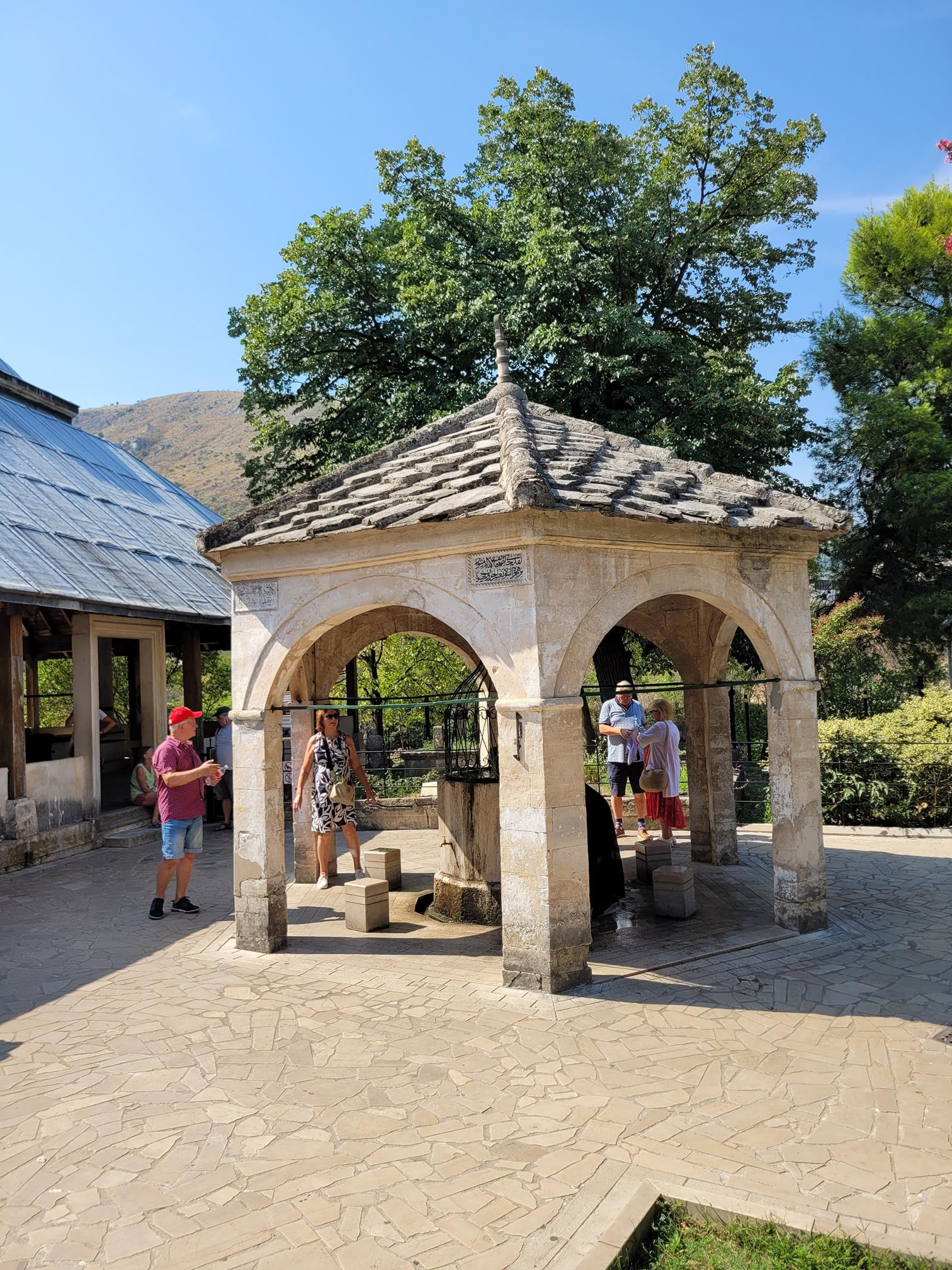 20240903_111549 (Copy).jpg