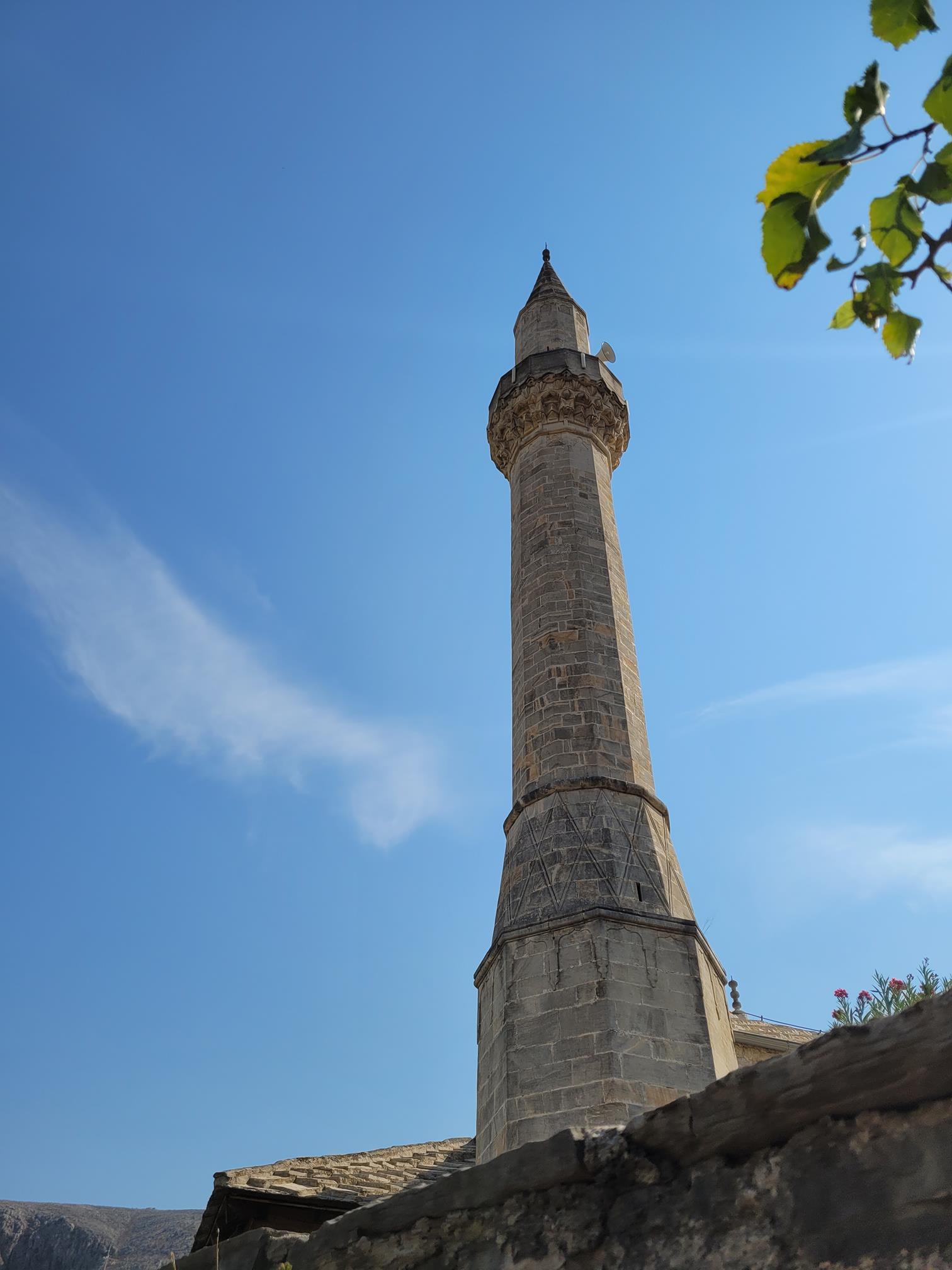 20240903_104738 (Copy).jpg