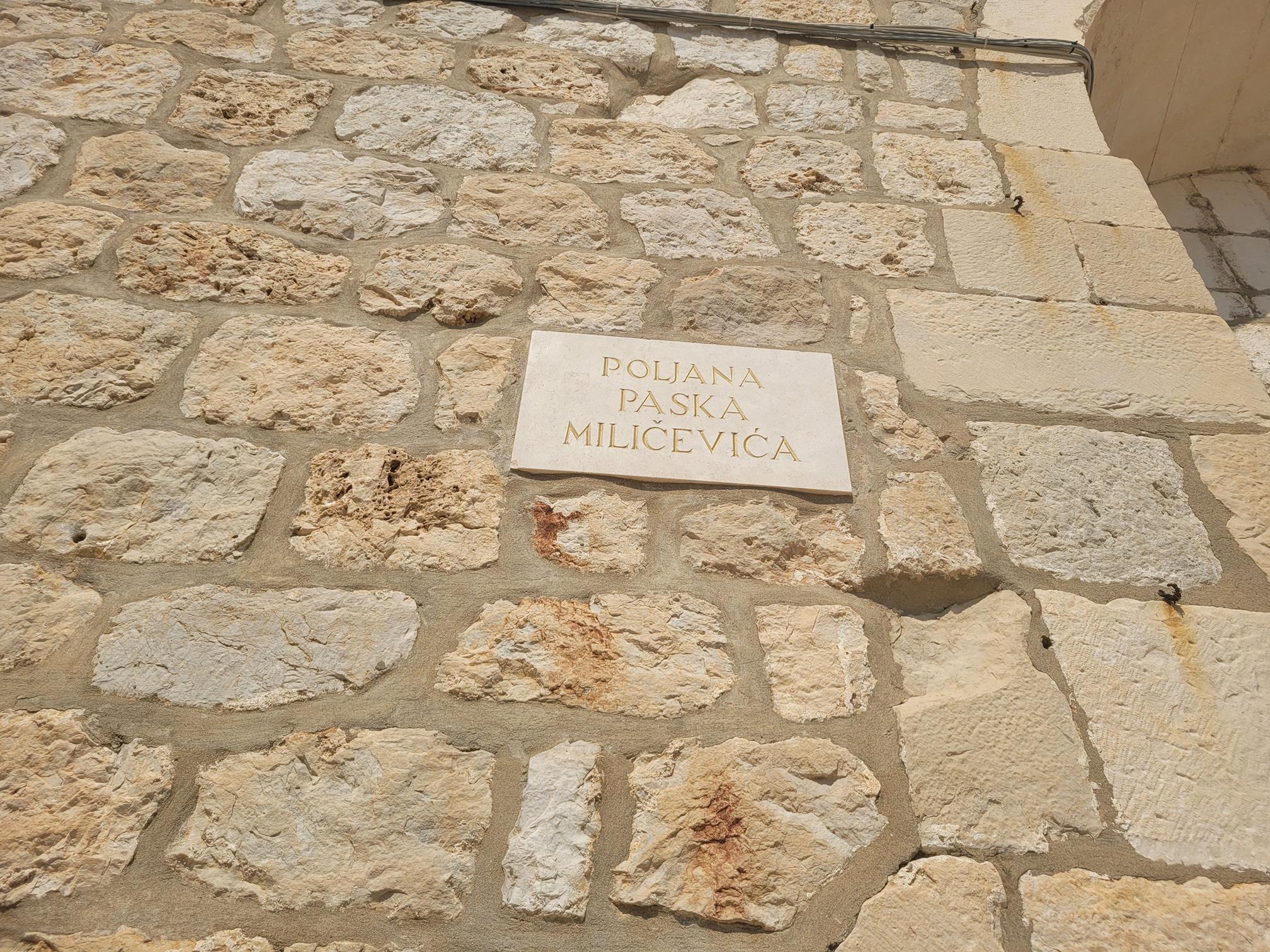 20240904_111051 (Copy).jpg