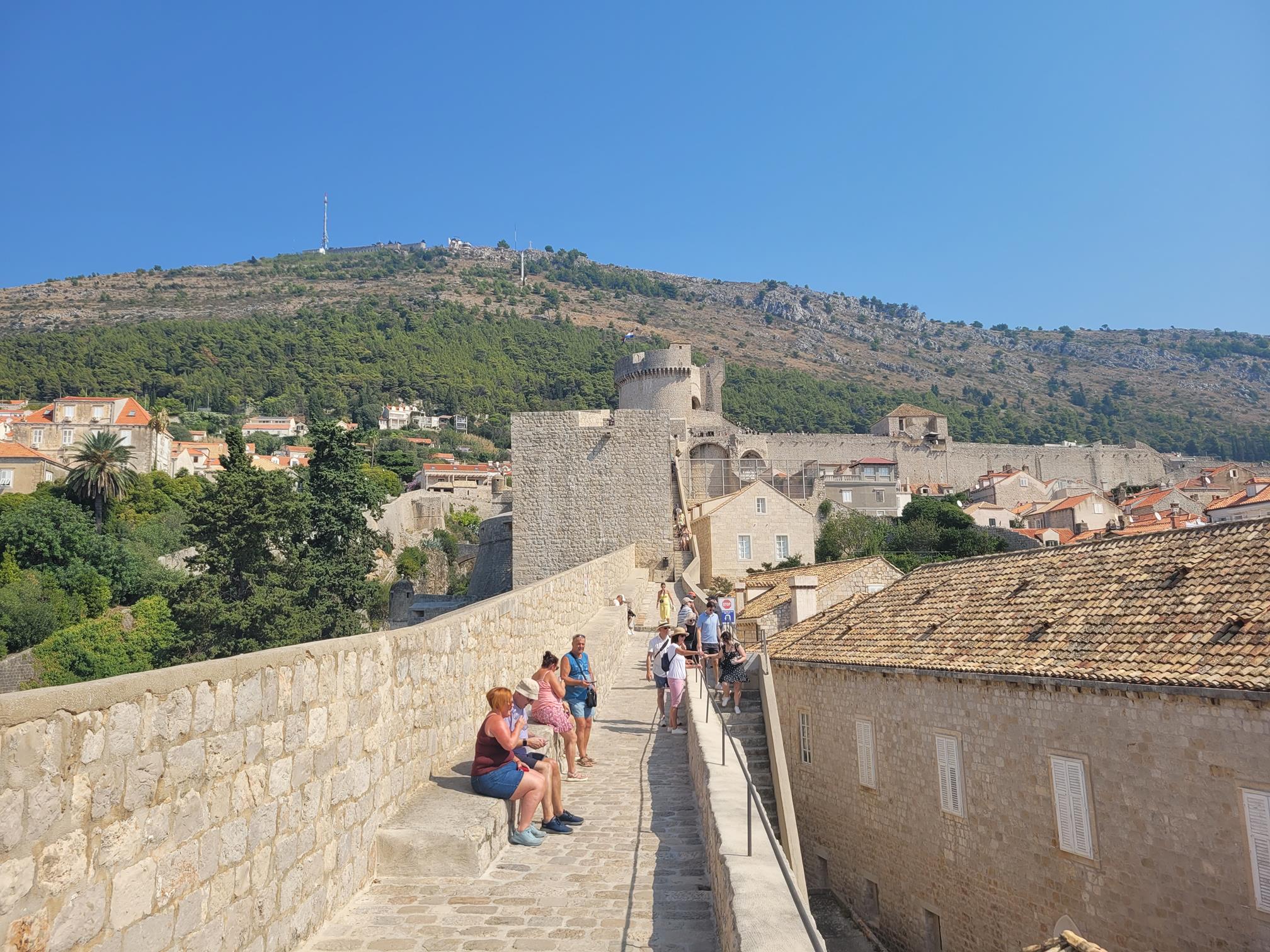 20240904_111758 (Copy).jpg