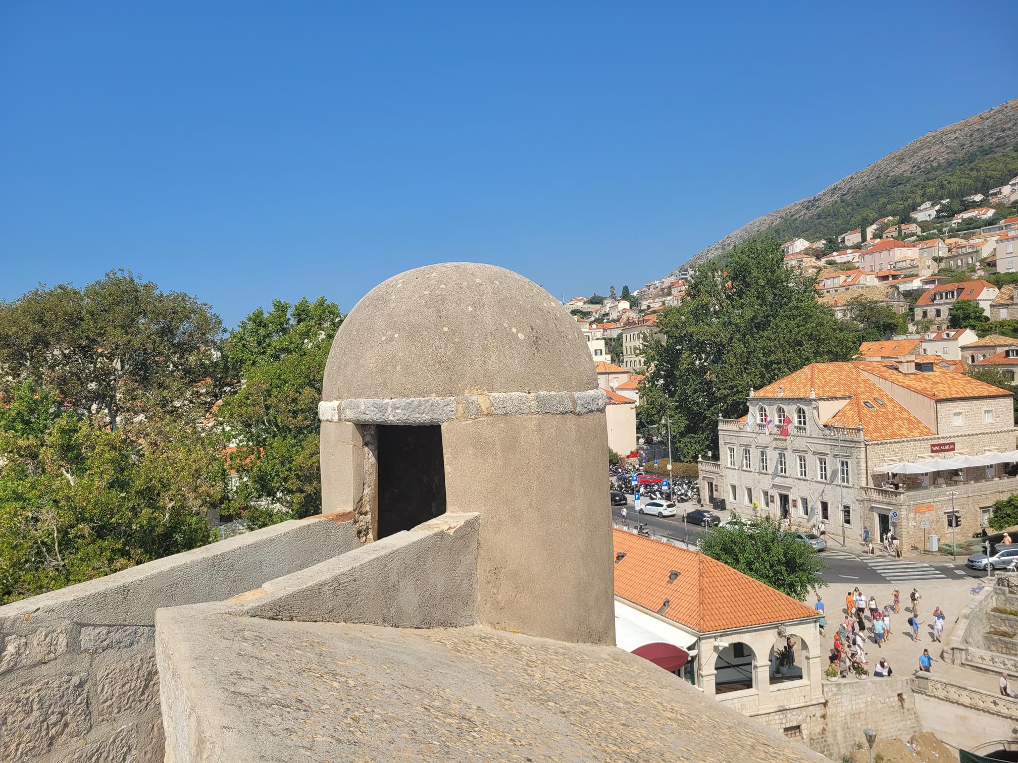 20240904_112454 (Copy).jpg