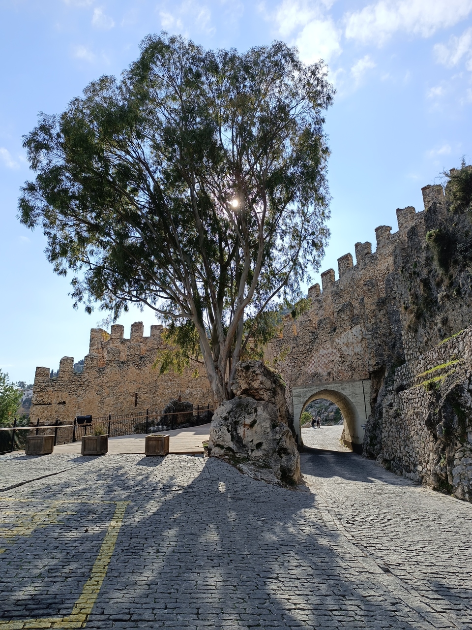 IMG_20250107_132806 — kopia_Easy-Resize.com.jpg