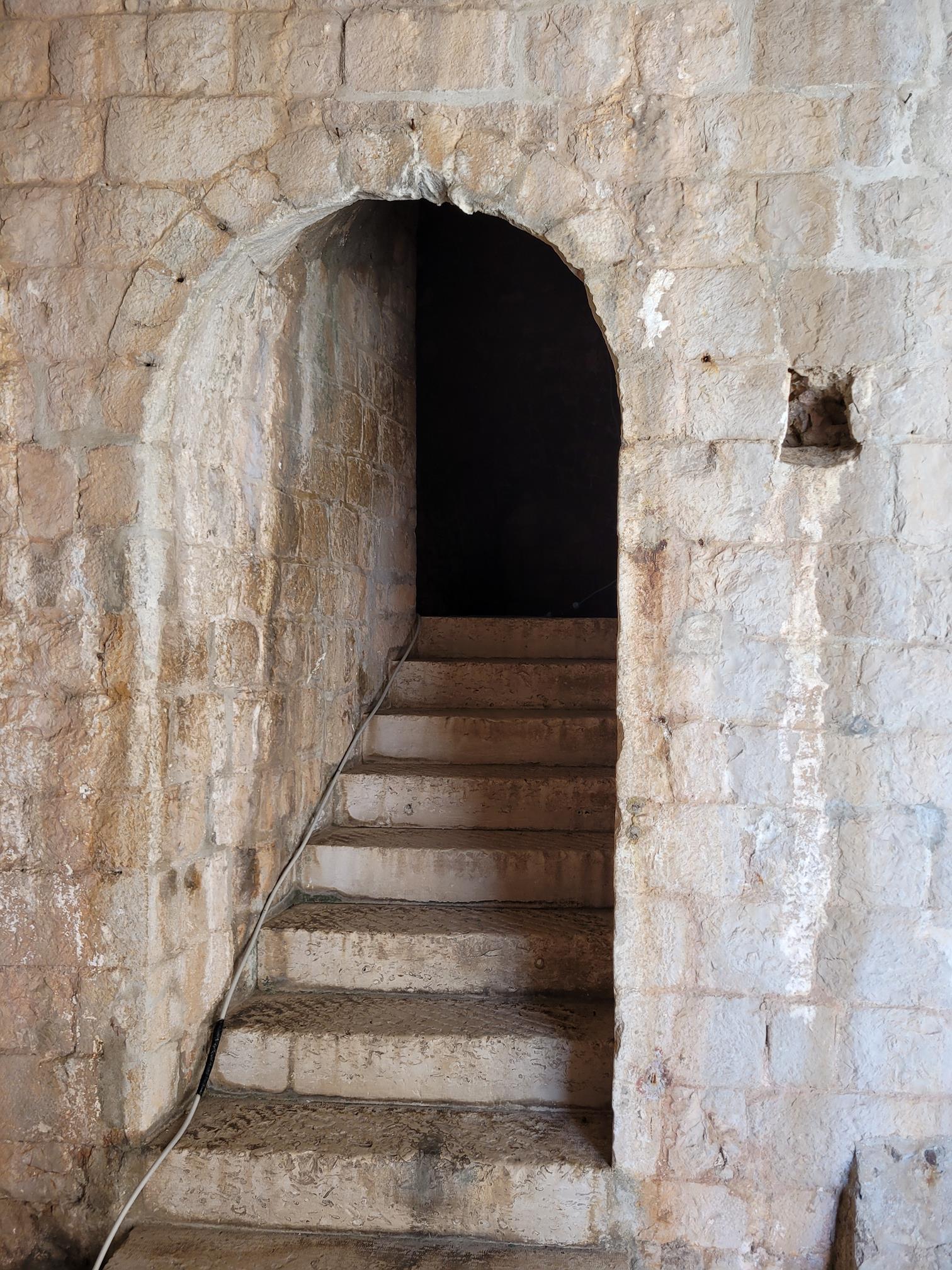 20240904_131135 (Copy).jpg