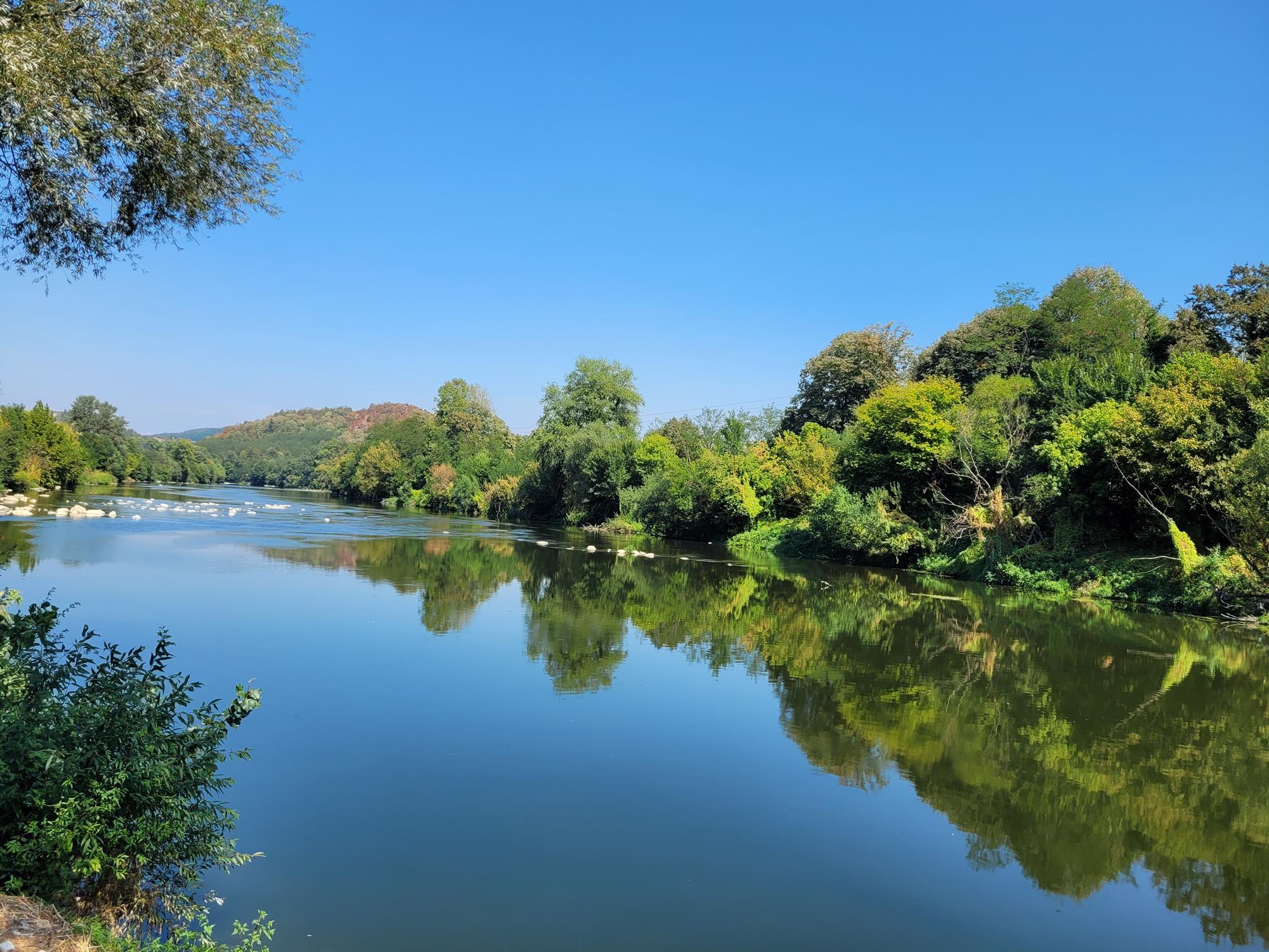 20240907_124930 (Copy).jpg