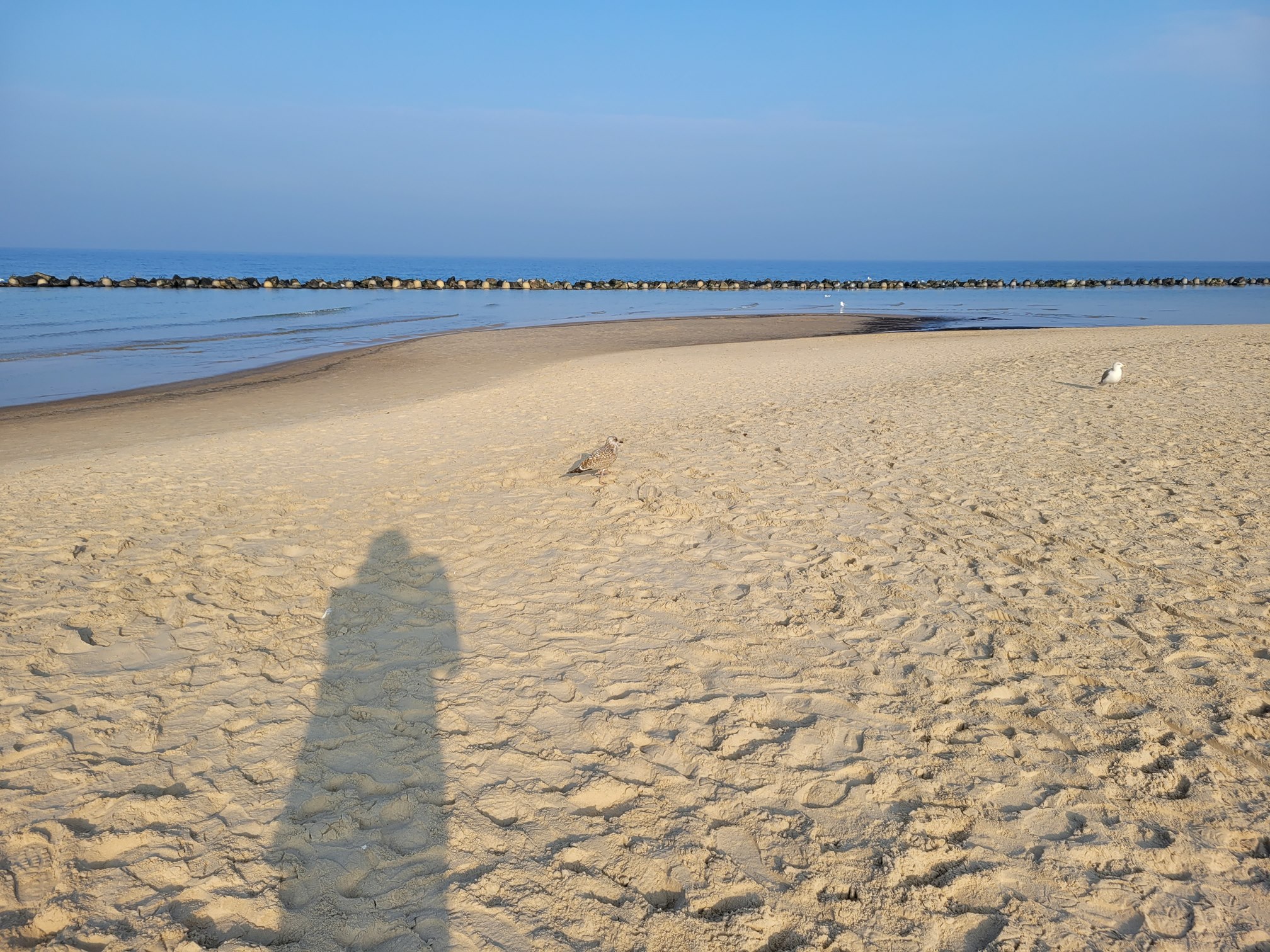 20241026_102947 (Copy).jpg