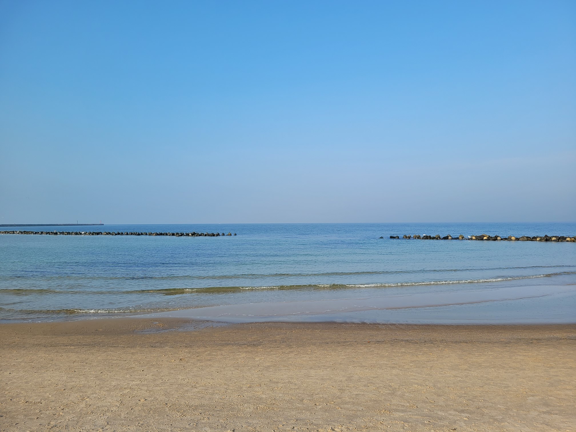 20241026_102957 (Copy).jpg