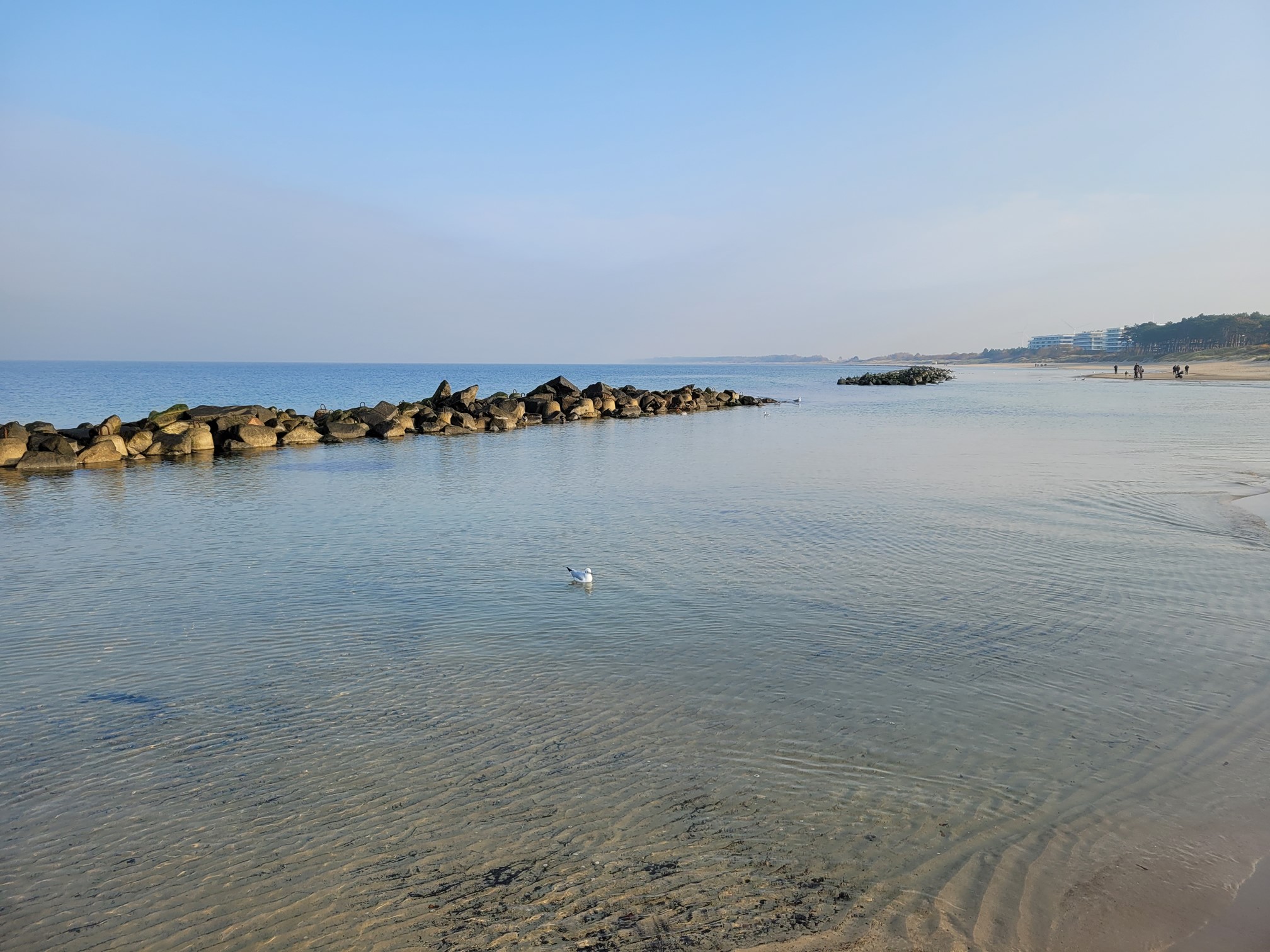 20241026_103637 (Copy).jpg