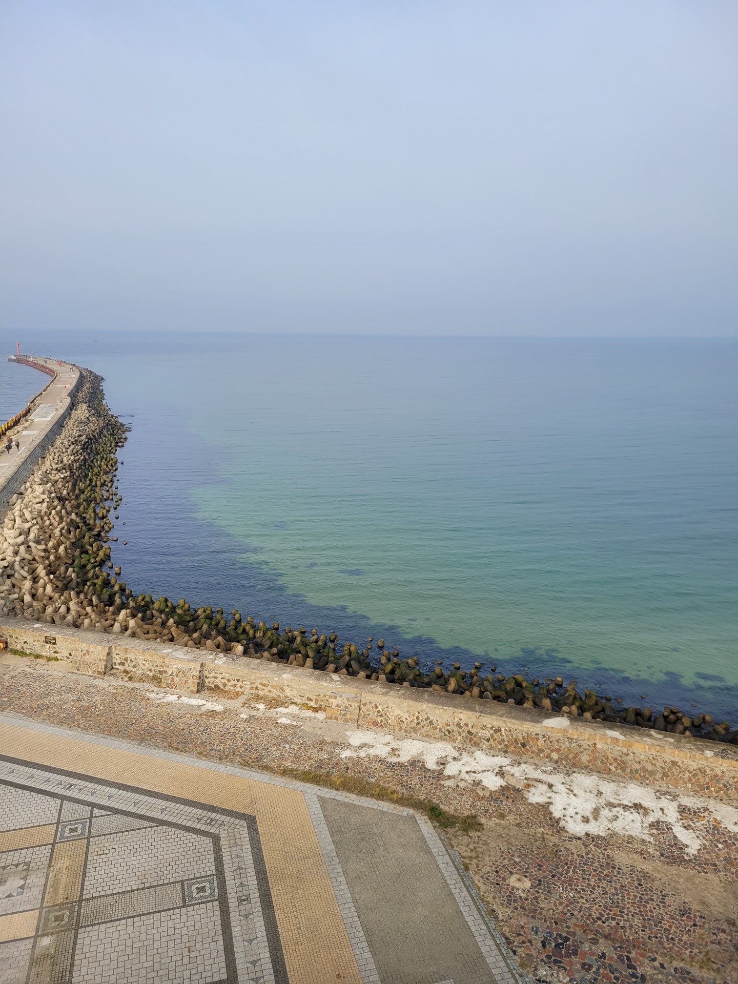 20241026_104851 (Copy).jpg