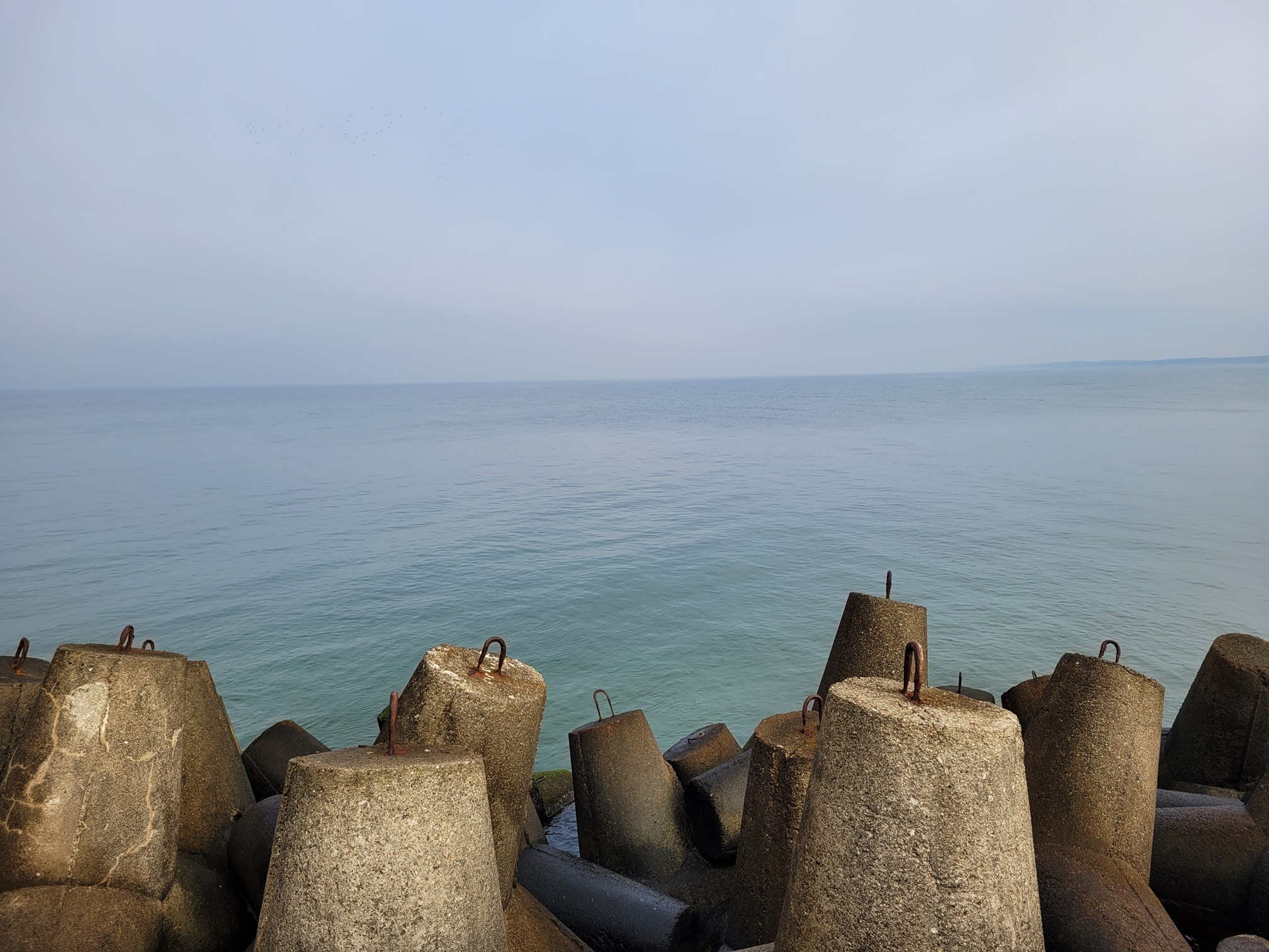 20241026_110527 (Copy).jpg