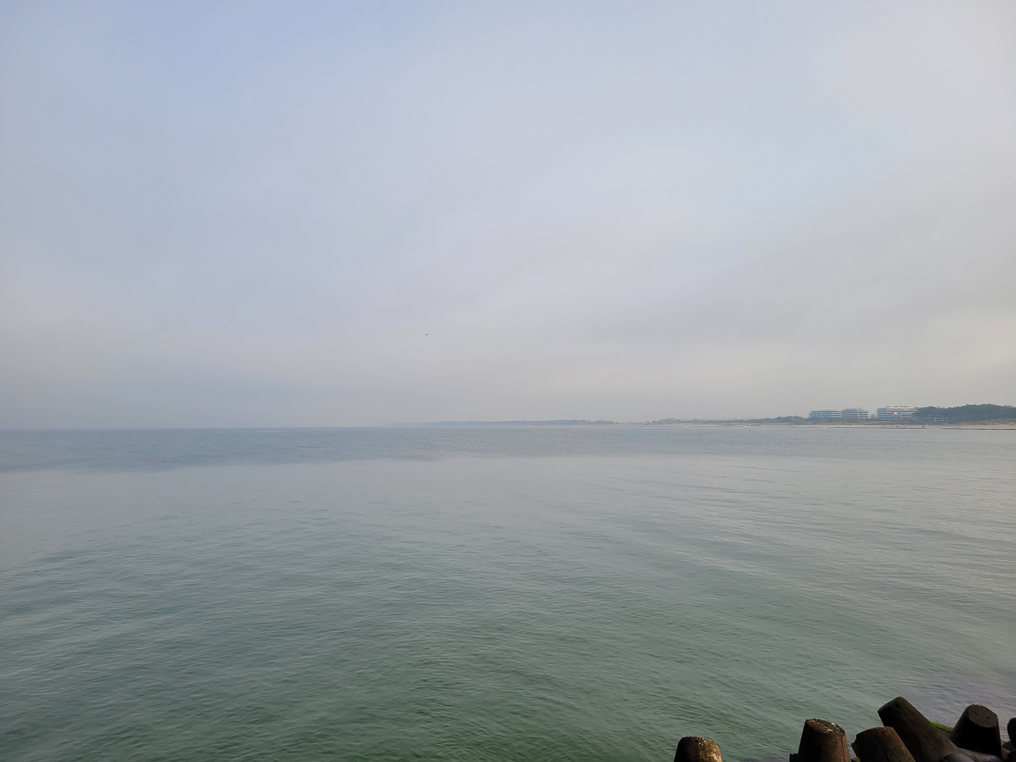 20241026_110349 (Copy).jpg