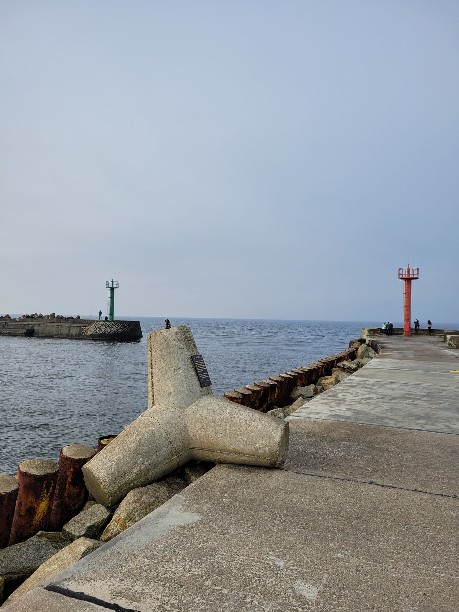 20241026_110640 (Copy).jpg