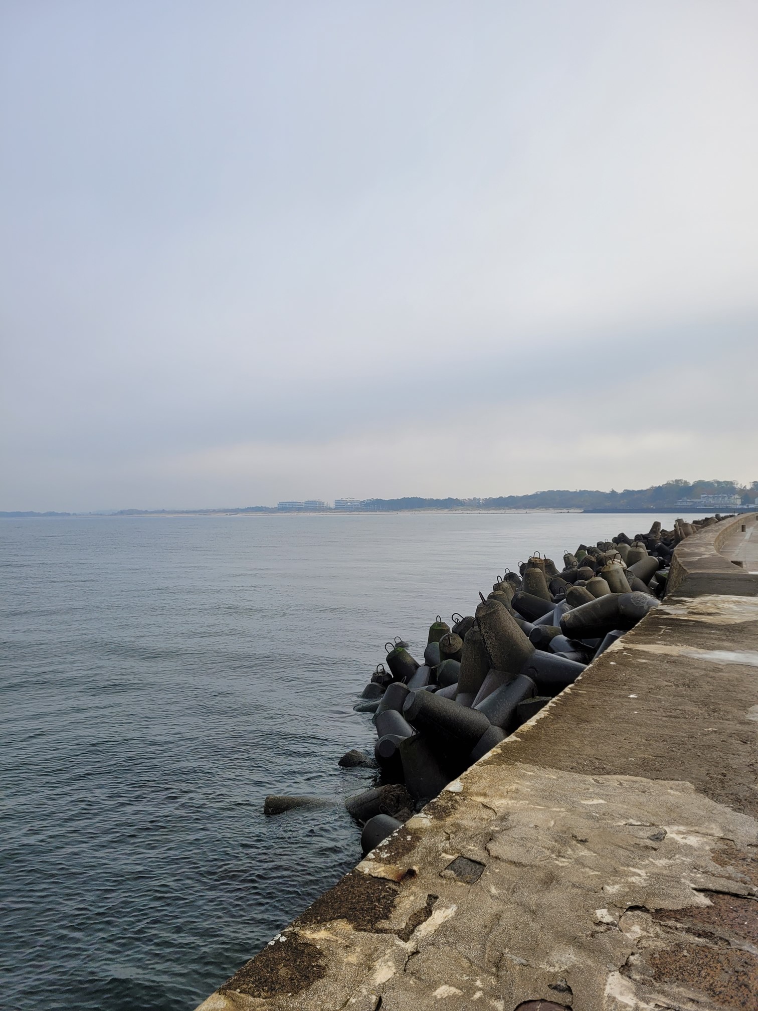 20241026_110902 (Copy).jpg