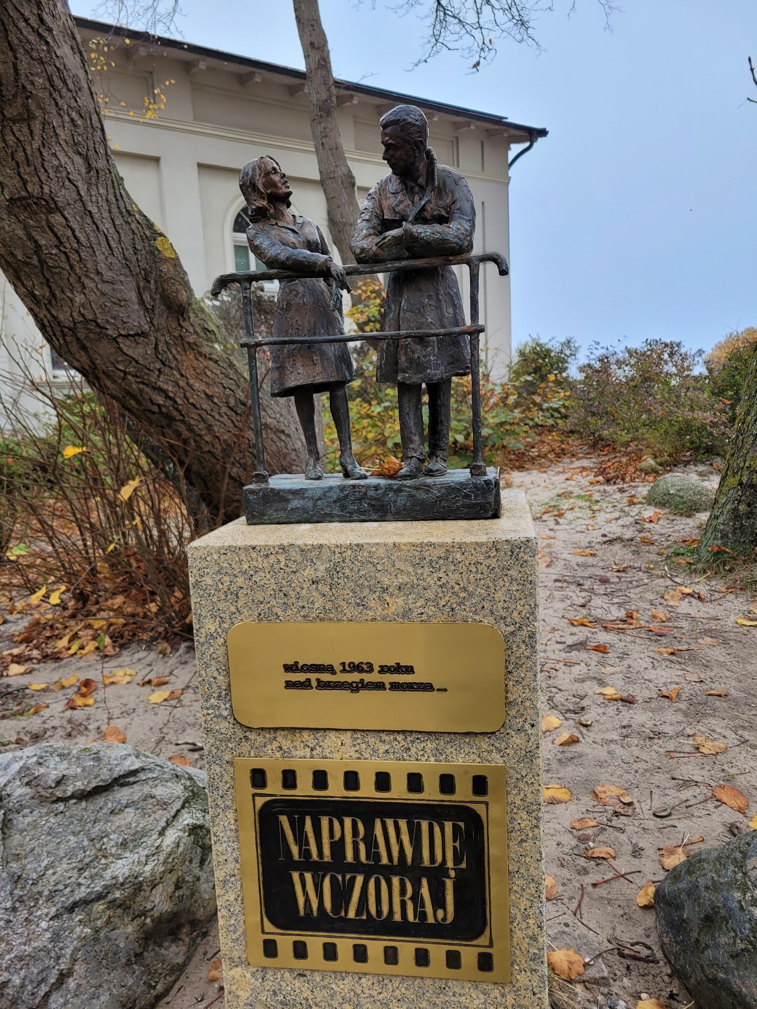 20241026_133313 (Copy).jpg