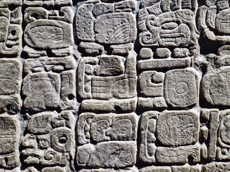 20250316_094835 (Kopiowanie).jpg