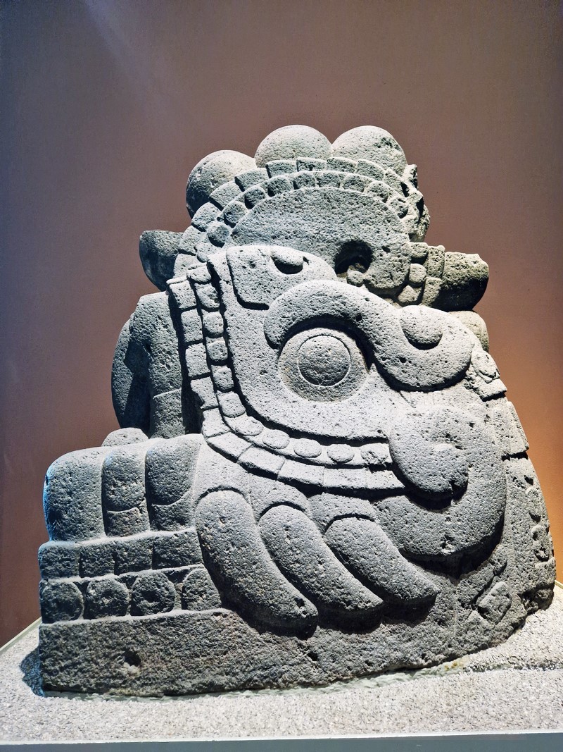 20250316_100321 (Kopiowanie).jpg