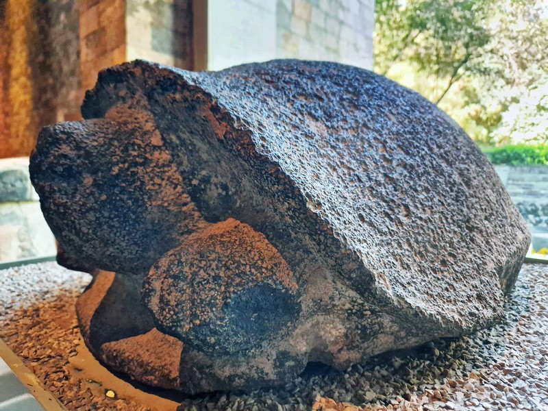 20250316_101005 (Kopiowanie).jpg