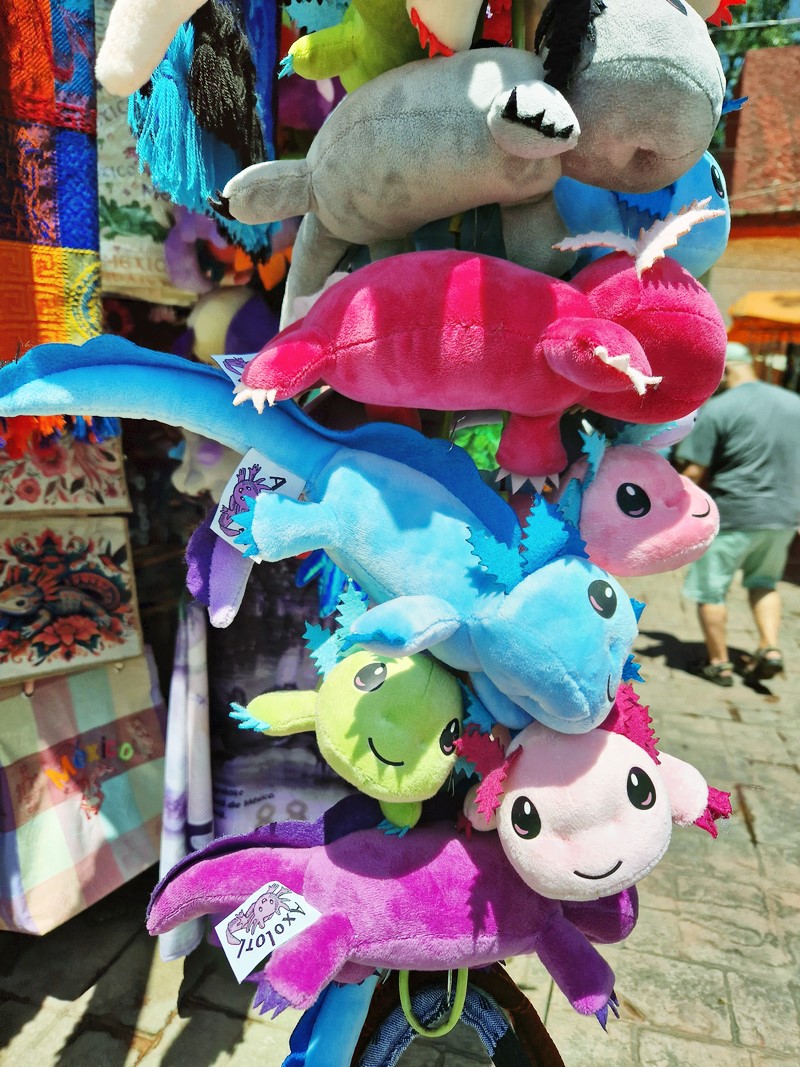 20250316_124234 (Kopiowanie).jpg