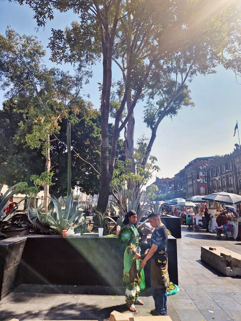 20250316_150903 (Kopiowanie).jpg