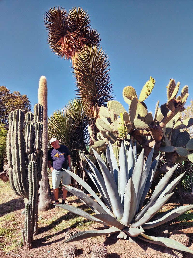 20250317_091905 (Kopiowanie).jpg