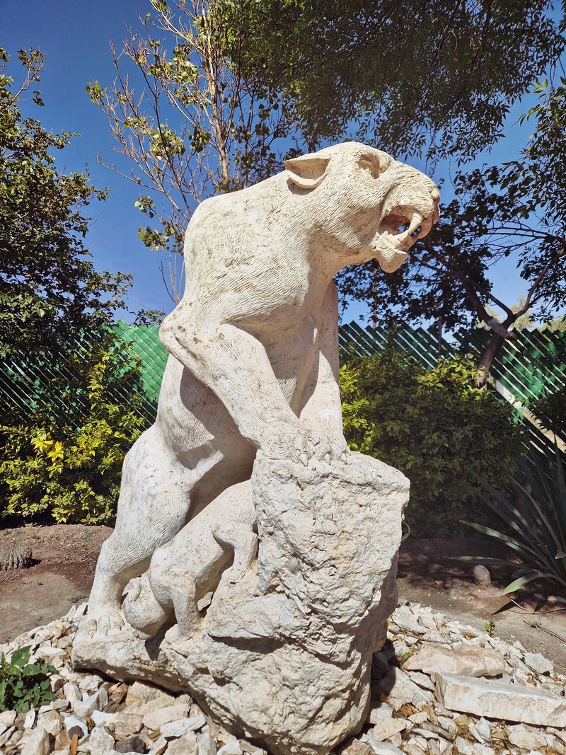 20250317_101248 (Kopiowanie).jpg