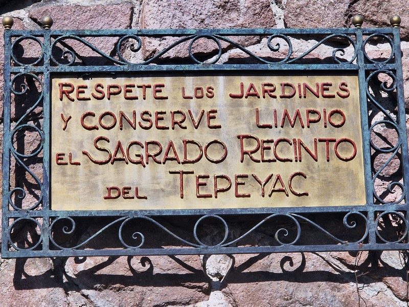 20250317_160252 (Kopiowanie).jpg