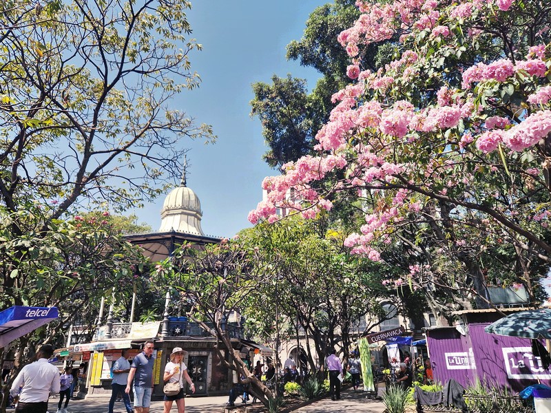 20250318_104825 (Kopiowanie).jpg