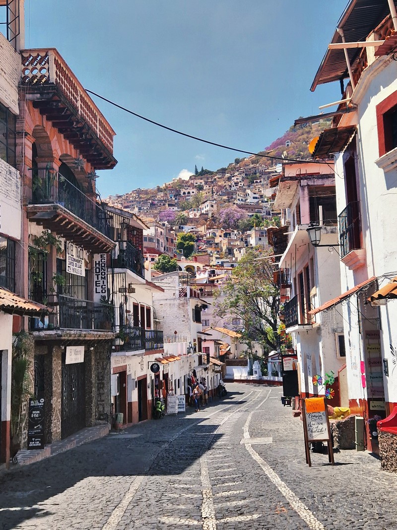 20250318_130829 (Kopiowanie).jpg