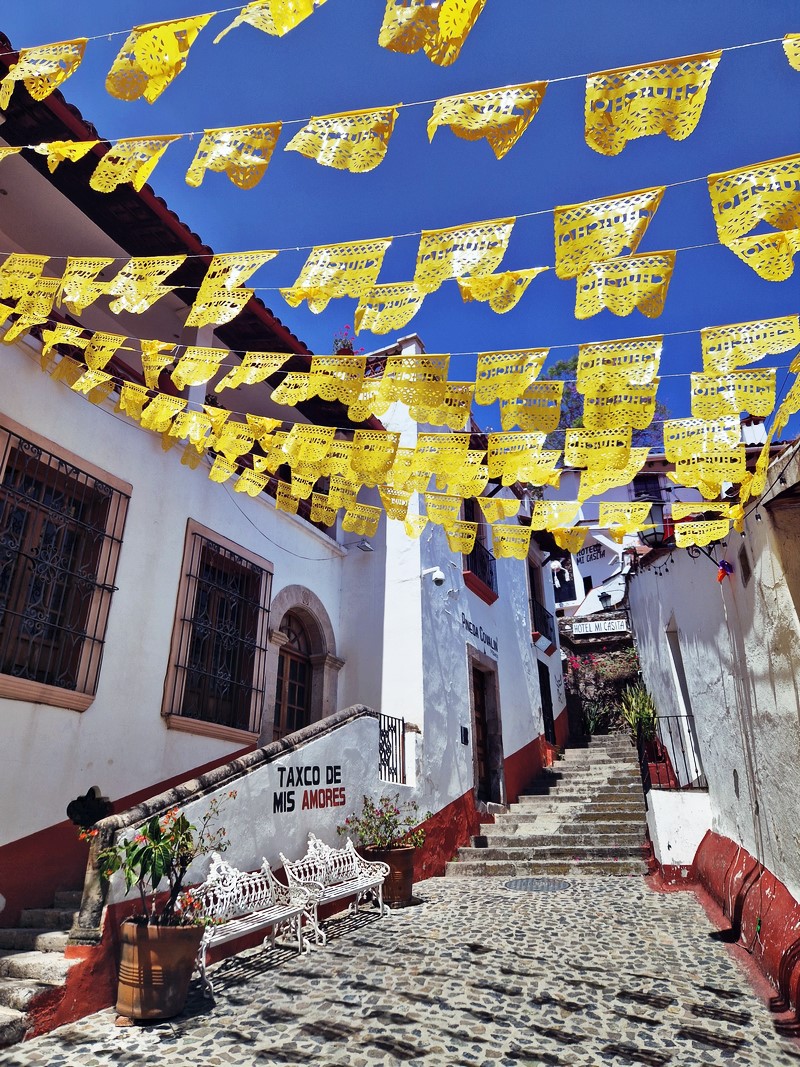 20250318_132513 (Kopiowanie).jpg