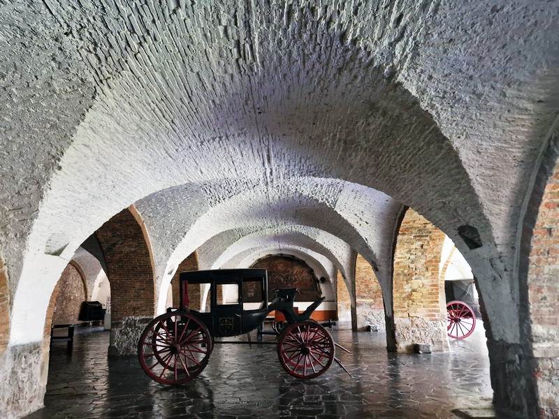 20250320_115423 (Kopiowanie).jpg