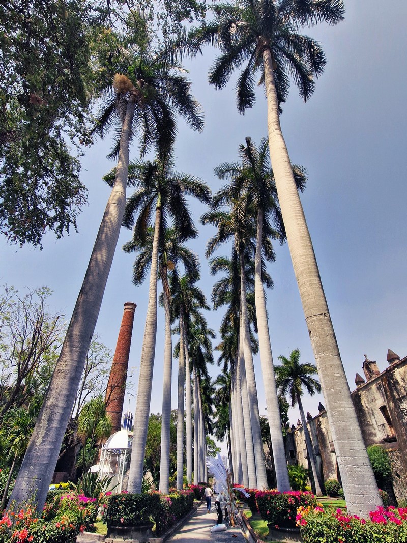 20250320_115853(0) (Kopiowanie).jpg