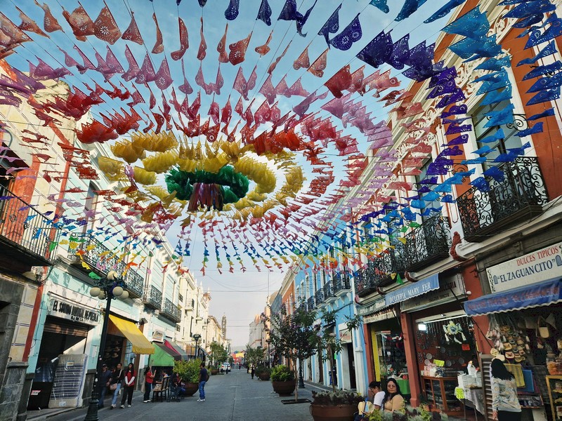 20250320_171119 (Kopiowanie).jpg