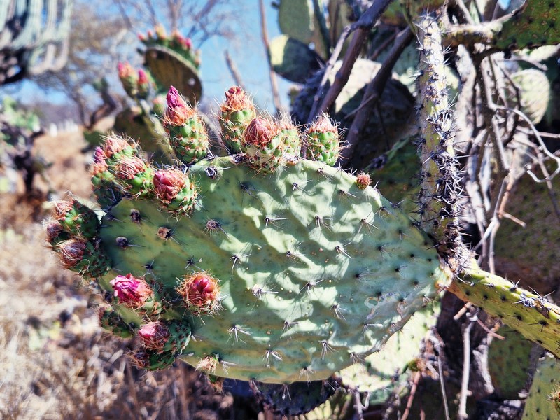 20250321_102323 (Kopiowanie).jpg