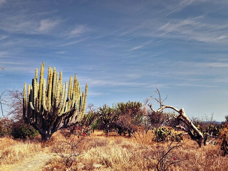 20250321_102539 (Kopiowanie).jpg