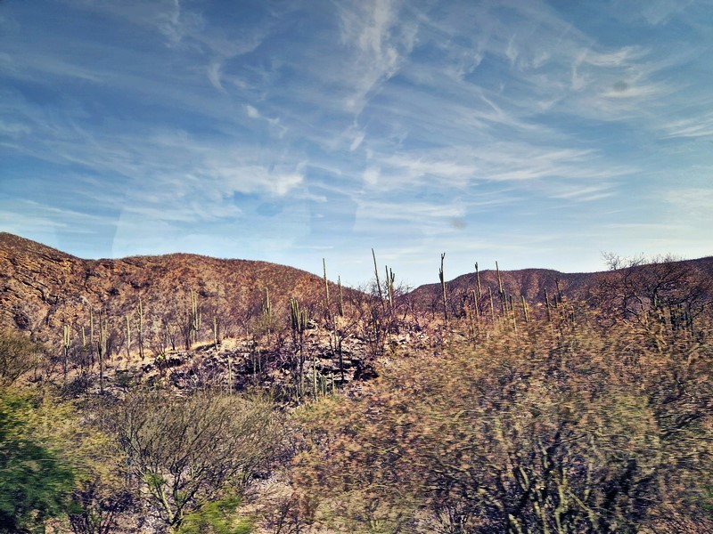 20250321_104055 (Kopiowanie).jpg