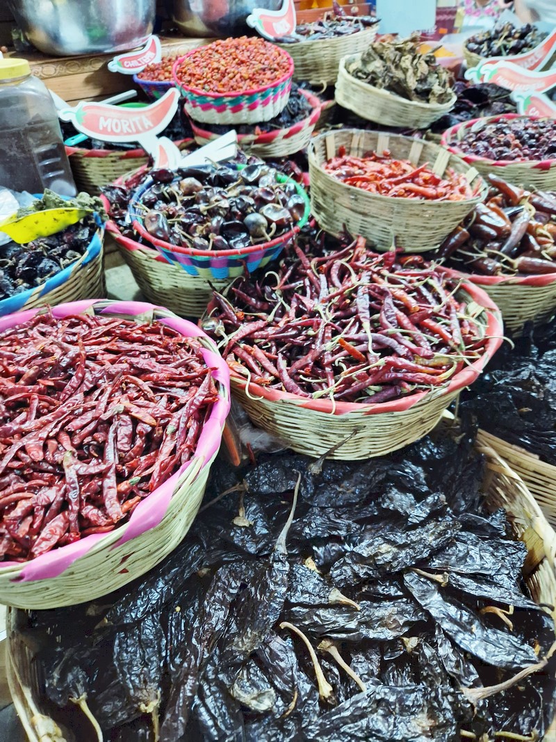 20250321_141924 (Kopiowanie).jpg