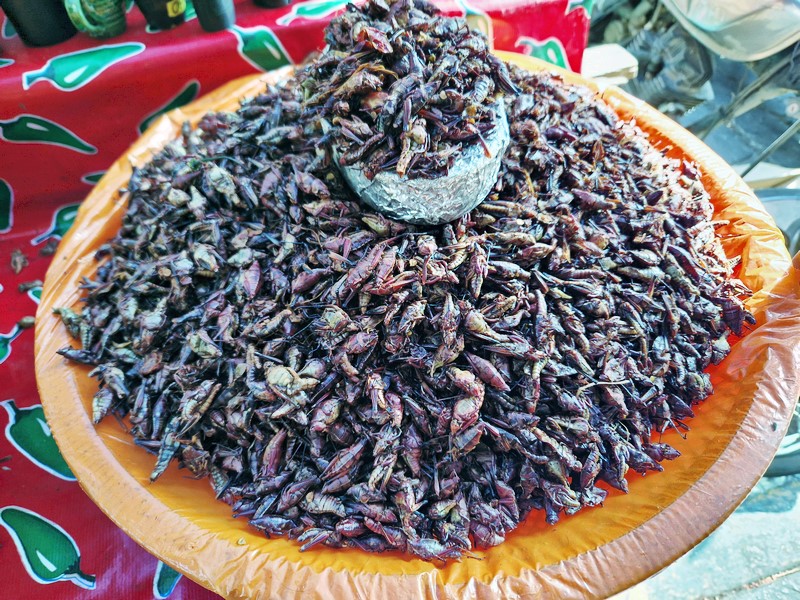 20250321_153924 (Kopiowanie).jpg