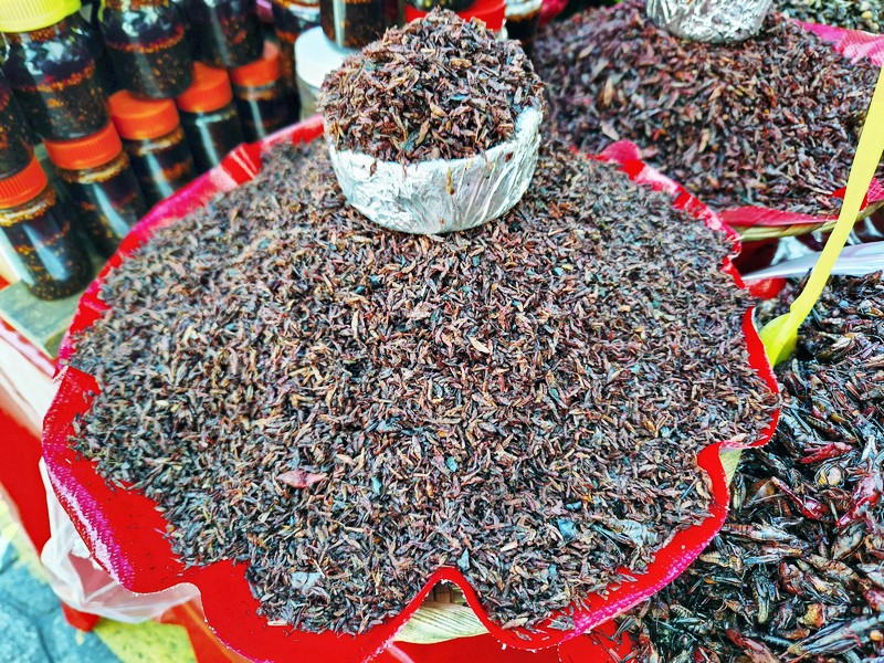 20250321_153943 (Kopiowanie).jpg