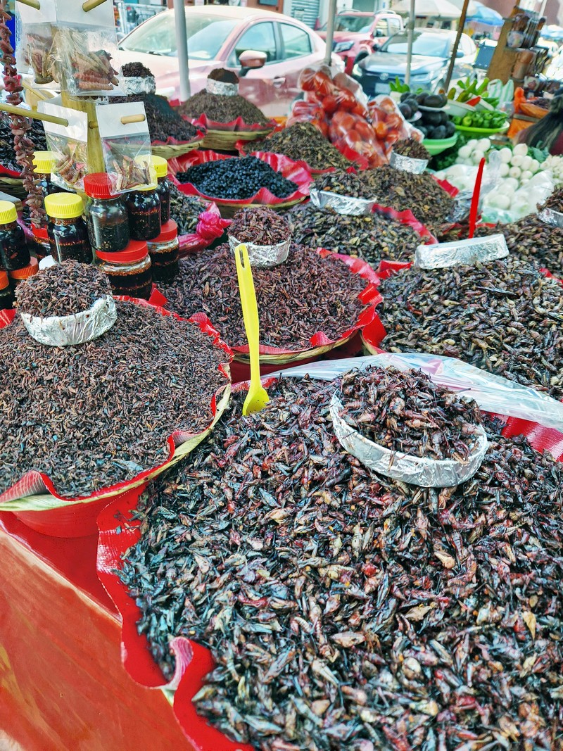 20250321_153947 (Kopiowanie).jpg